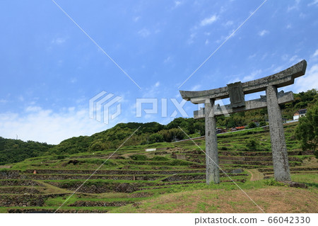 Rice terrace of Oura 66042330