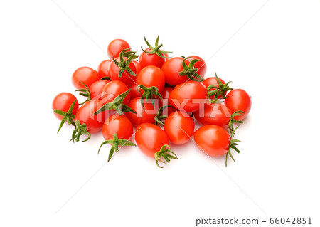  櫻桃西紅柿 66042851