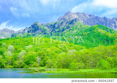 Fresh green Togakushi mountain seen from Kagamiike 66042887