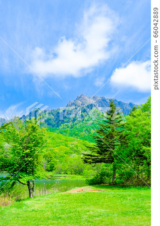 Fresh green Togakushi mountain seen from Kagamiike 66042889