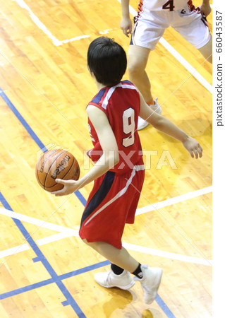 Basketball 66043587