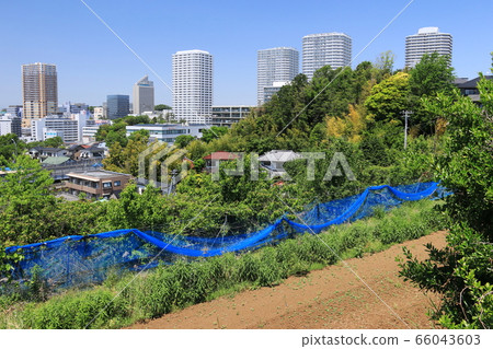 Spring in Higashi-Totsuka Hirado, Yokohama City Scenery of the former Tokaido, from Gonzozaka to Hirado Spring in Higashi-Totsuka Hirado, Yokohama City Scenery of the former Tokaido, from Gonzozaka to Hirado 66043603