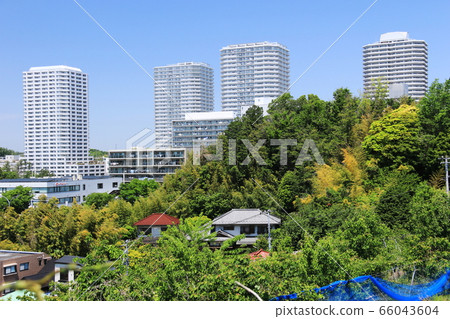Spring in Higashi-Totsuka Hirado, Yokohama City Scenery of the former Tokaido, from Gonzozaka to Hirado Spring in Higashi-Totsuka Hirado, Yokohama City Scenery of the former Tokaido, from Gonzozaka to Hirado 66043604