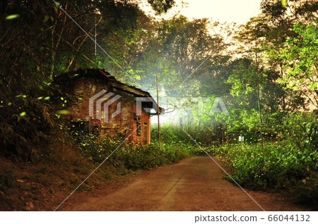 In the forest, there is no fire, no heat, no heat, and no heat. In the forest, there is no fire, no heat, no heat, and no heat. 66044132