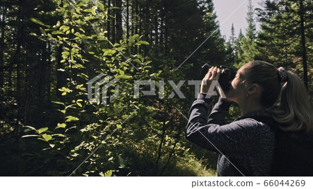 Traveler photographing scenic view in forest. One caucasian woman shooting nice magic look. Girl take photo video on dslr mirrorless camera. Traveler photographing scenic view in forest. One caucasian woman shooting nice magic look. Girl take photo video on dslr mirrorless camera. 66044269