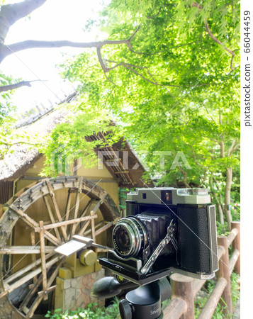 經典相機Monzencho的風景 66044459