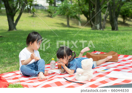 Family picnic 66044830