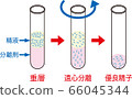 人工授精_密度梯度離心 66045344