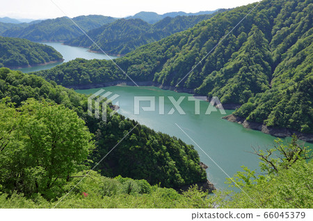 新鮮的綠色Tagokura湖-國道252號從福島縣多見町通關紀念道60口開業 66045379
