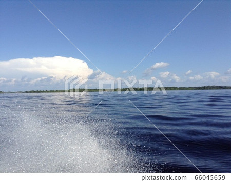 The Amazon River 66045659