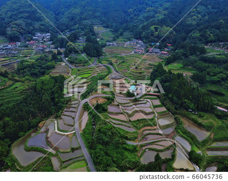 Rice terrace of Eri's mountain 66045736