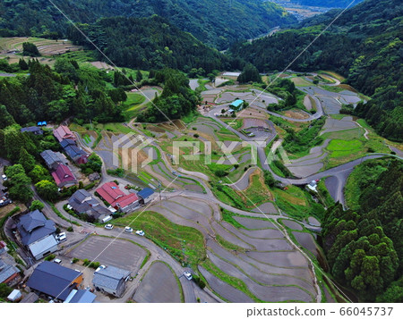 Rice terrace of Eri's mountain 66045737