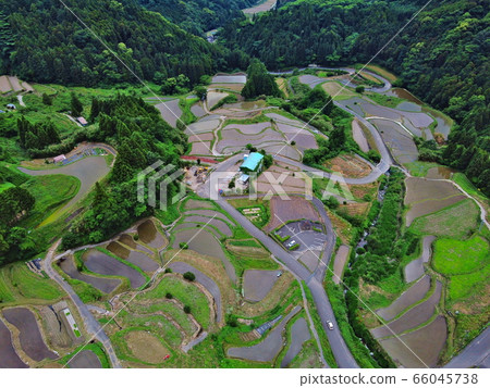 Rice terrace of Eri's mountain 66045738