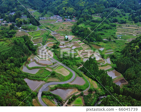 Rice terrace of Eri's mountain 66045739