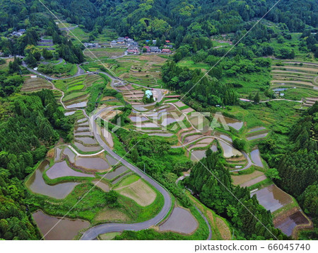 Rice terrace of Eri's mountain 66045740