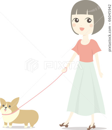 Dog walk corgi Dog walk corgi 66045942