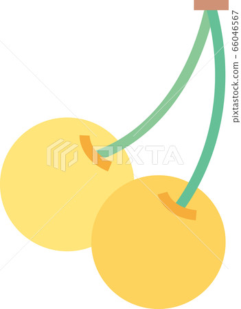 Yellow cherries 66046567