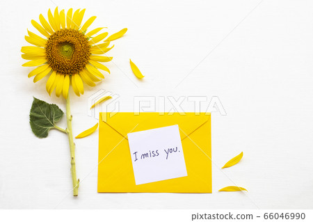 i miss you message card handwriting in yellow envelope with yellow flower sunflower arrangement flat lay postcard style i miss you message card handwriting in yellow envelope with yellow flower sunflower arrangement flat lay postcard style 66046990