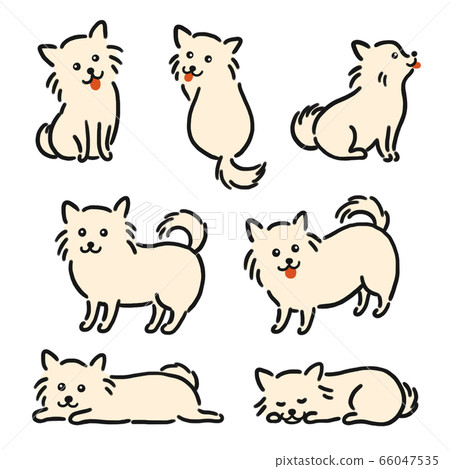 Chihuahua cute illustration Chihuahua cute illustration 66047535