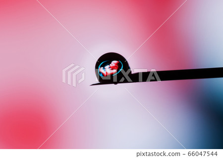 Human embryo in a drop on the tip of a needle on a Human embryo in a drop on the tip of a needle on a 66047544