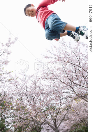 一個男孩在一排櫻桃樹跳 一個男孩在一排櫻桃樹跳 66047913