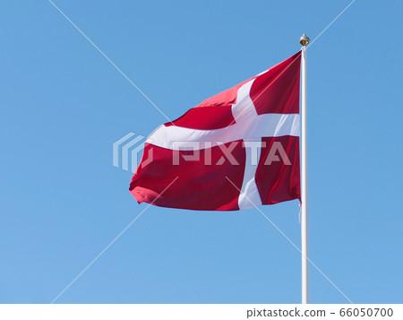 Real Danish flag flutters in the wind Real Danish flag flutters in the wind 66050700