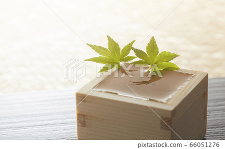 清酒一郎藍色秋天的落葉 清酒一郎藍色秋天的落葉 66051276