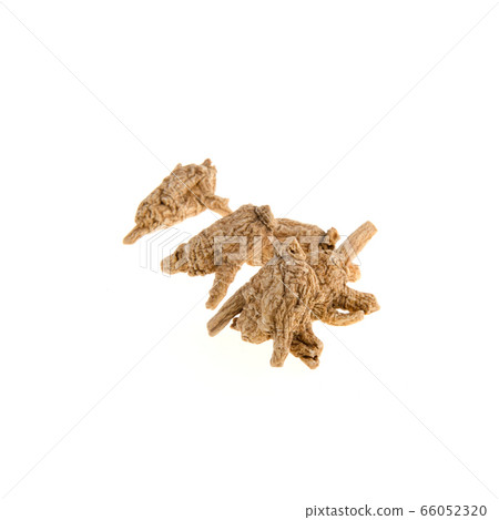Ginseng or Dried Ginseng on a background new. Ginseng or Dried Ginseng on a background new. 66052320