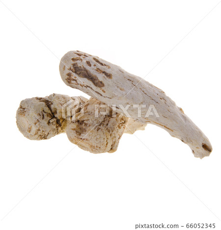 dang gui or dried dang gui on a background new. dang gui or dried dang gui on a background new. 66052345