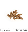 Ginseng or Dried Ginseng on a background new. 66052347