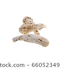 dang gui or dried dang gui on a background new. 66052349