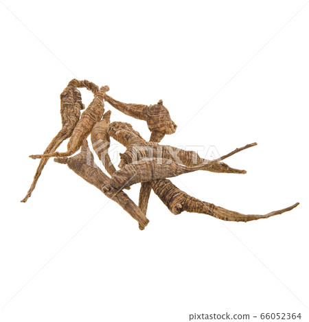 Ginseng or Dried Ginseng on a background new. 66052364