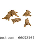 Ginseng or Dried Ginseng on a background new. 66052365