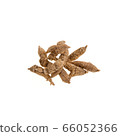Ginseng or Dried Ginseng on a background new. 66052366