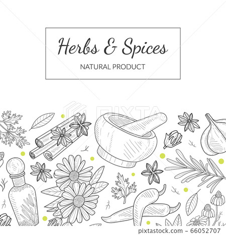 Herbs and Spices Banner Template with Natural Vegetarian Products Seamless Pattern Hand Drawn Vector Illustration Herbs and Spices Banner Template with Natural Vegetarian Products Seamless Pattern Hand Drawn Vector Illustration 66052707