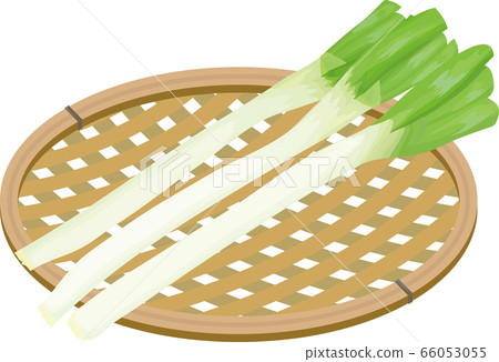  長蔥籃子圖 66053055