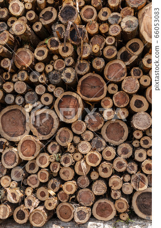 Wood just cut from the mountain Wood just cut from the mountain 66053083