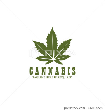Cannabis leaf icon logo design vector template 66053228