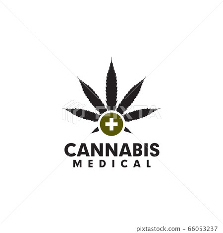 Cannabis leaf icon logo design vector template 66053237