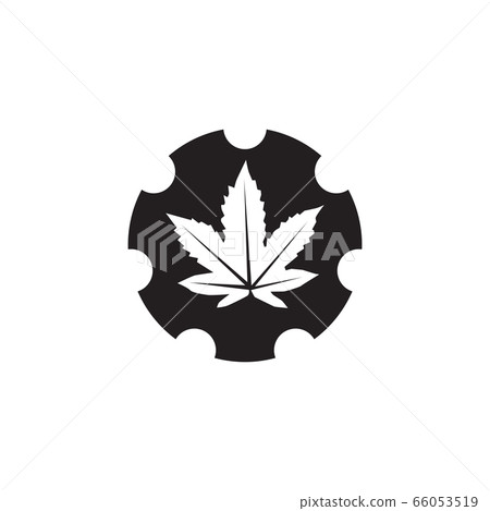 Cannabis leaf icon logo design vector template 66053519