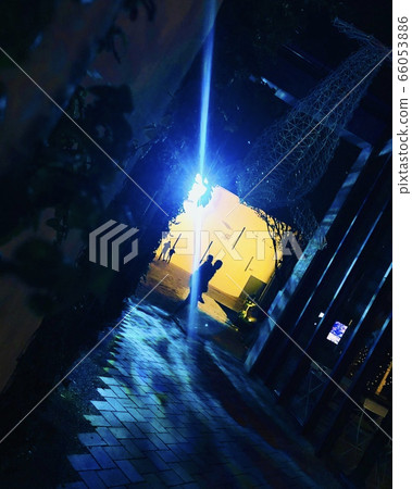 藍鯨溫度 66053886