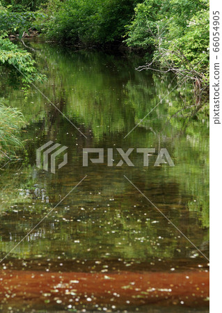 A walk in the four seasons Summer Onbara Kogen 66054905