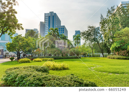 View of Lumphini park in Bangkok, Thailand View of Lumphini park in Bangkok, Thailand 66055249