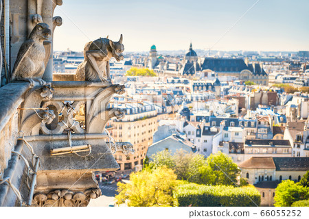 Gargoyle statue on Notre Dame de Paris Gargoyle statue on Notre Dame de Paris 66055252