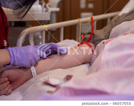 A nurse inserting a canula into a patient's arm A nurse inserting a canula into a patient's arm 66057058