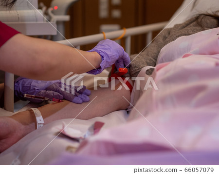 A nurse inserting a canula into a patient's arm 66057079