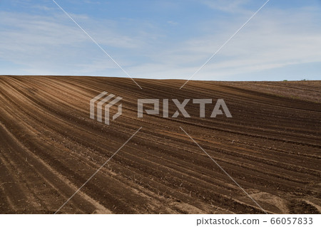 Shooting the landscape of the ridges of the fields that have been raised in Assabu-cho, Hokkaido in early summer 66057833