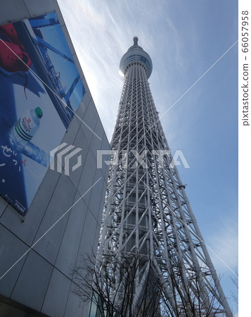 天空樹 66057958