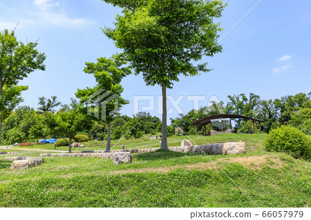 鮮見山公園春天 鮮見山公園春天 66057979
