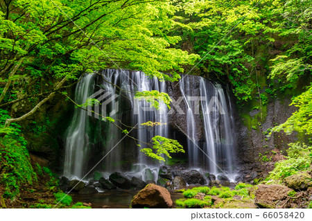Fresh green Tatsusawa Fudo Waterfall Fukushima Inawashiro Fresh green Tatsusawa Fudo Waterfall Fukushima Inawashiro 66058420